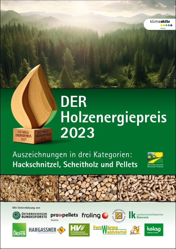Cover_Holzenergiepreis-724x1024