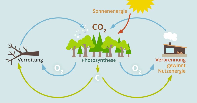 CO2-Kreislauf CO2-kreislauf.jpg
